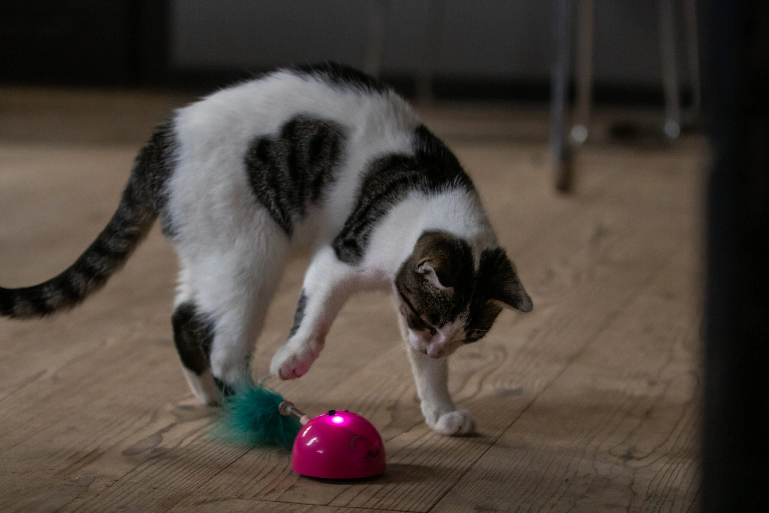Hračka ve tvaru myši s pohybovým senzorem a Madnipem, růžová – Robocat Mouse - Obrázek 5