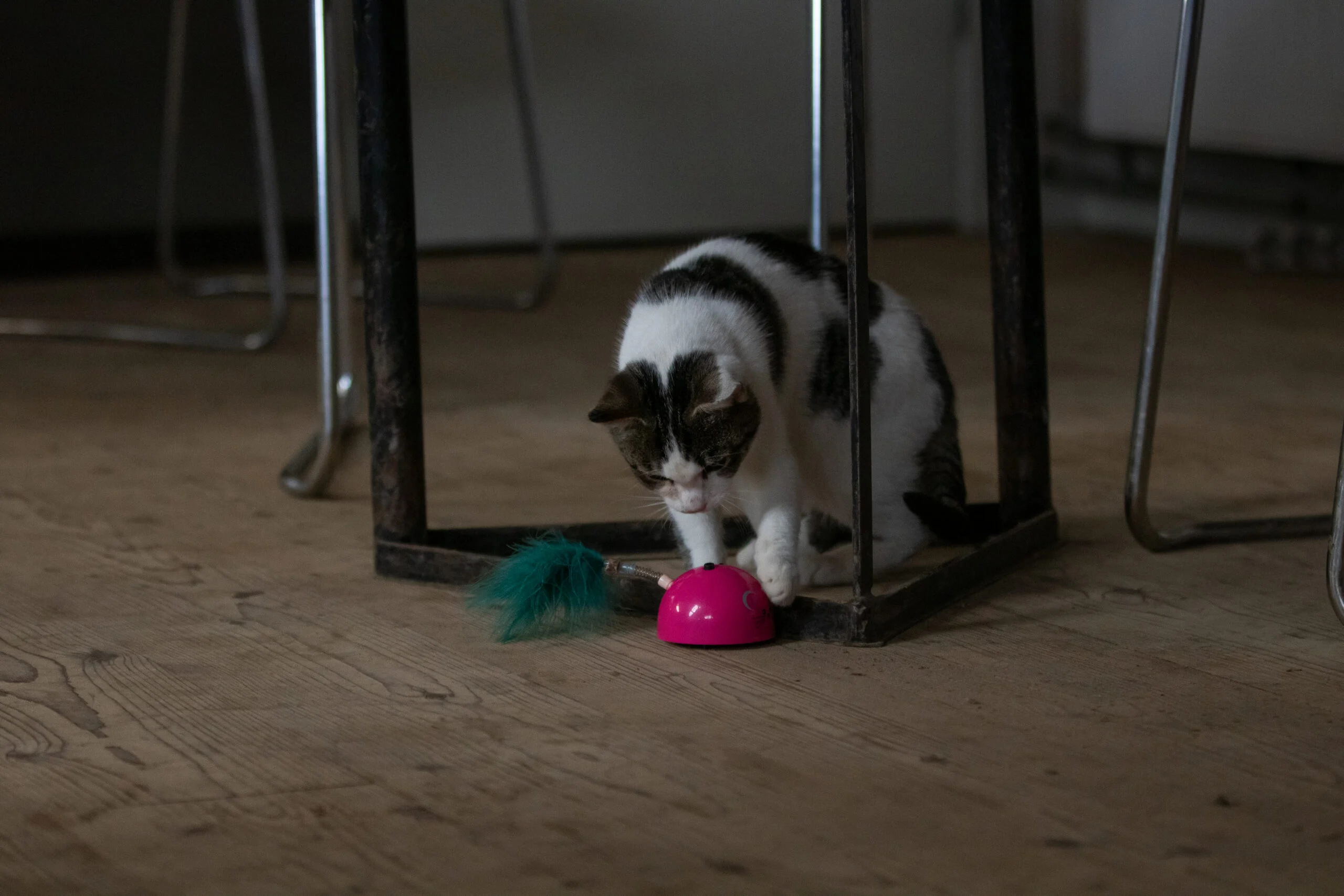 Hračka ve tvaru myši s pohybovým senzorem a Madnipem, růžová – Robocat Mouse - Obrázek 6
