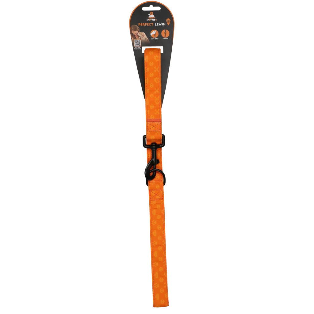 Vodítko pro psy s kroužkem D, 120 cm, oranžové – Spotted! Pro Perfect Leash - Obrázek 1