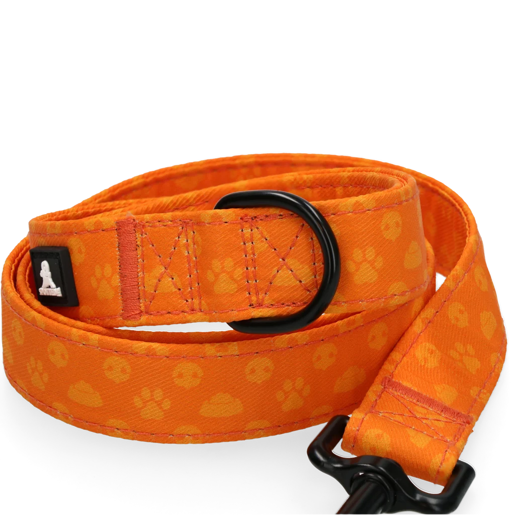Vodítko pro psy s kroužkem D, 120 cm, oranžové – Spotted! Pro Perfect Leash - Obrázek 3