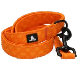Vodítko pro psy s kroužkem D, 120 cm, oranžové – Spotted! Pro Perfect Leash - Obrázek 4
