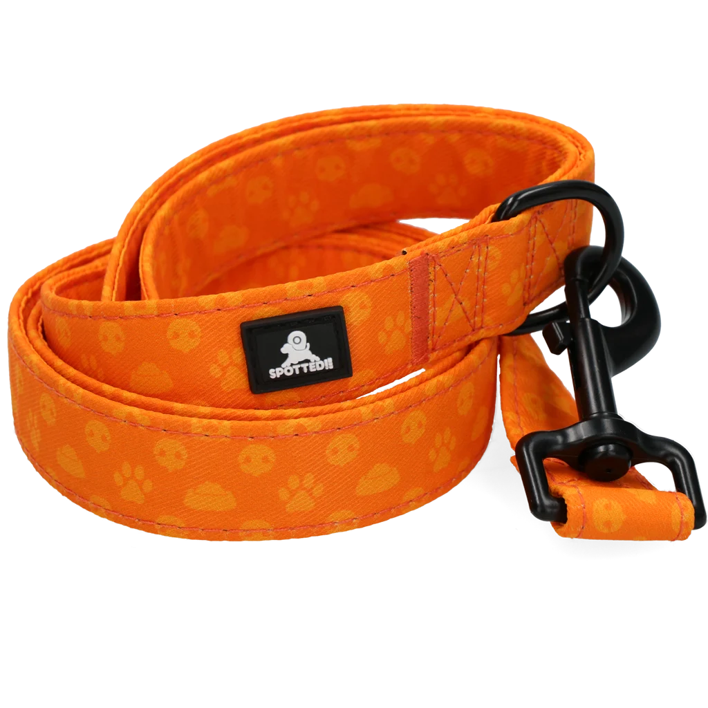 Vodítko pro psy s kroužkem D, 120 cm, oranžové – Spotted! Pro Perfect Leash - Obrázek 4
