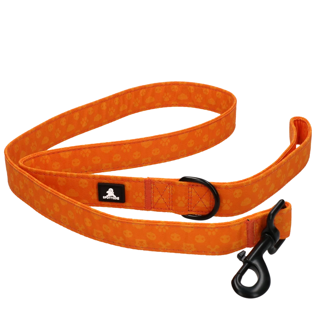 Vodítko pro psy s kroužkem D, 120 cm, oranžové – Spotted! Pro Perfect Leash - Obrázek 5