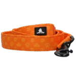 Vodítko pro psy s kroužkem D, 120 cm, oranžové – Spotted! Pro Perfect Leash - Obrázek 2