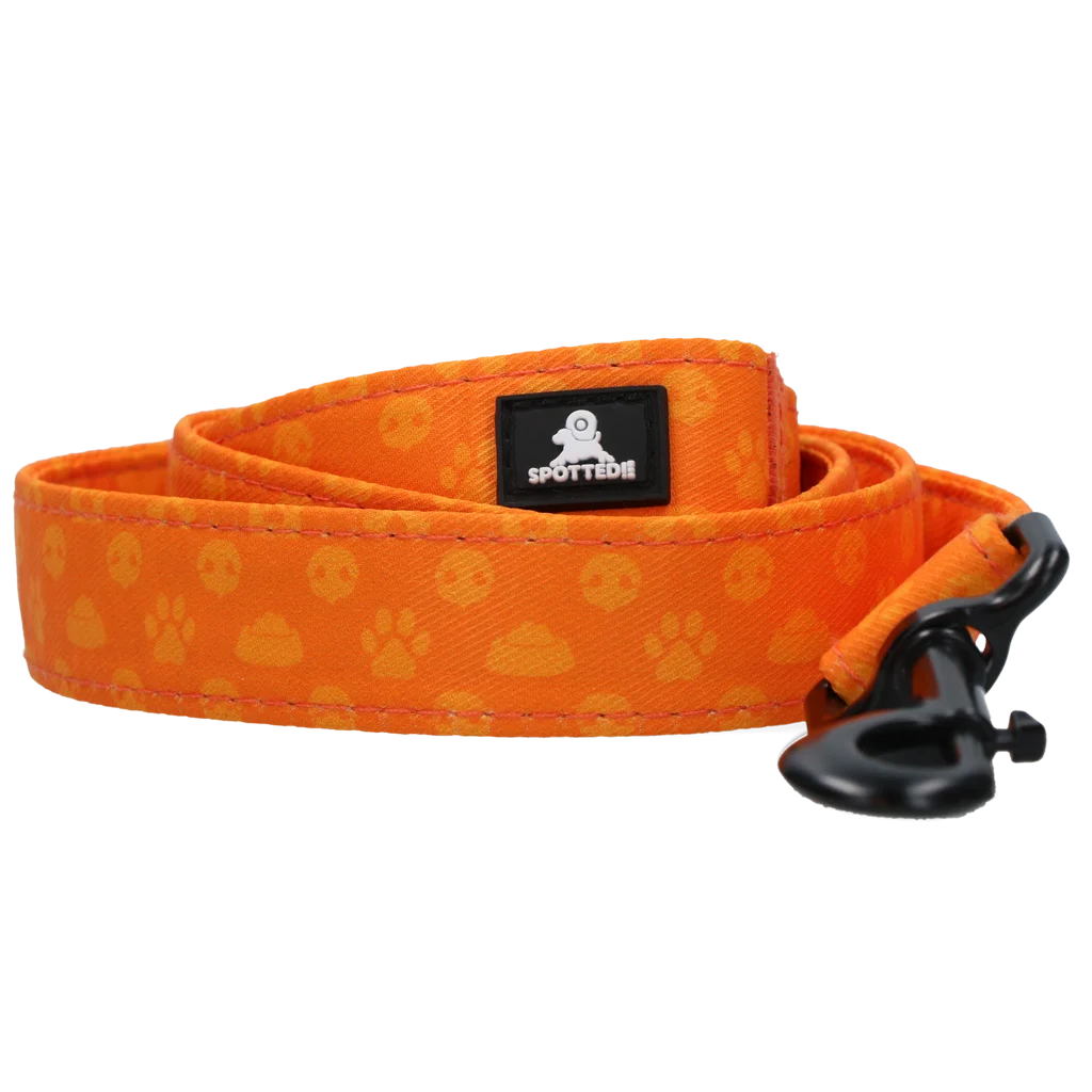 Vodítko pro psy s kroužkem D, 120 cm, oranžové – Spotted! Pro Perfect Leash - Obrázek 2