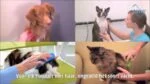 Silikonový kartáč pro psy s dlouhou srstí, červený – Pet + Me - Obrázek 6