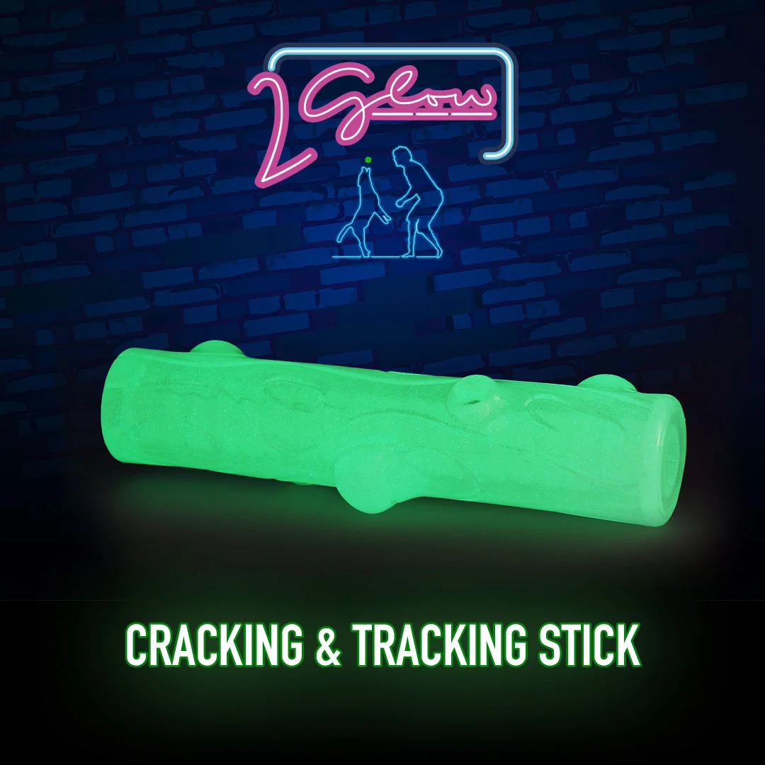 Světélkující hračka ve tvaru klacku pro psy – 2 Glow Cracking & Tracking Stick - Obrázek 3