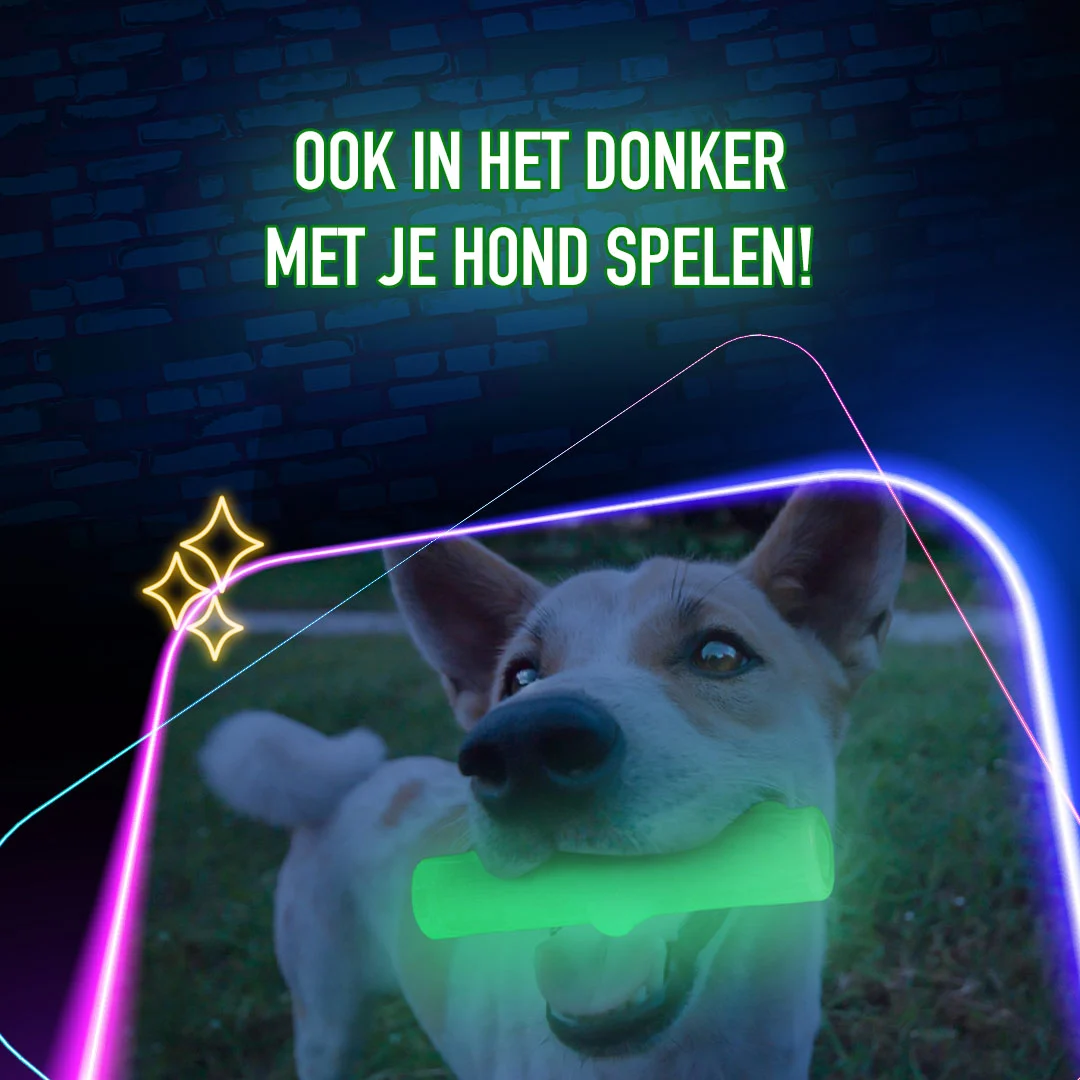 Svítící hračka ve tvaru kosti pro psy – 2 Glow Treat Bone of it's Own - Obrázek 5