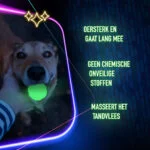Svítící hračka ve tvaru kosti pro psy – 2 Glow Treat Bone of it's Own - Obrázek 6