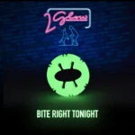 Svítící hračka pro psy – 2 Glow Bite Right Tonight - Obrázek 3