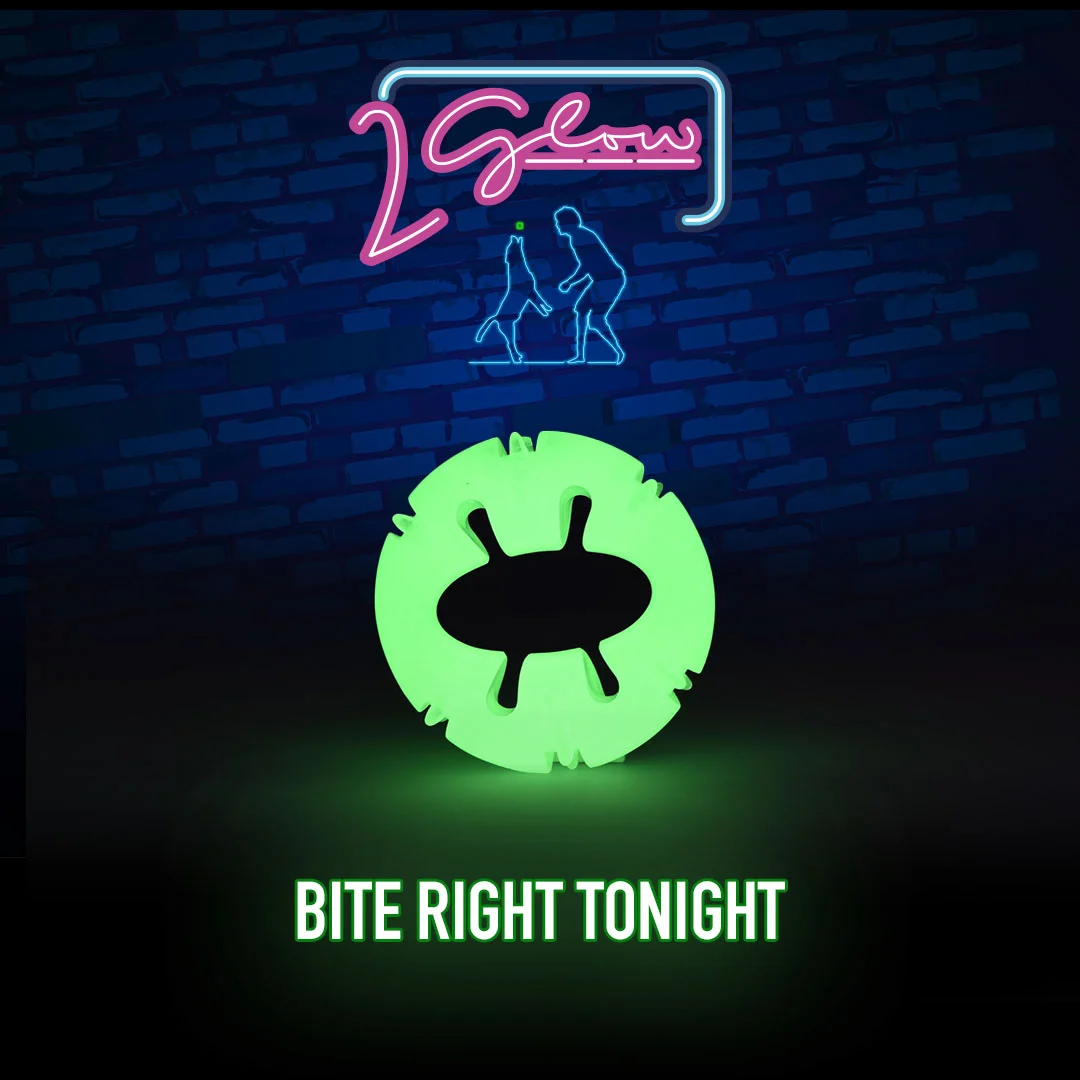 Svítící hračka pro psy – 2 Glow Bite Right Tonight - Obrázek 3