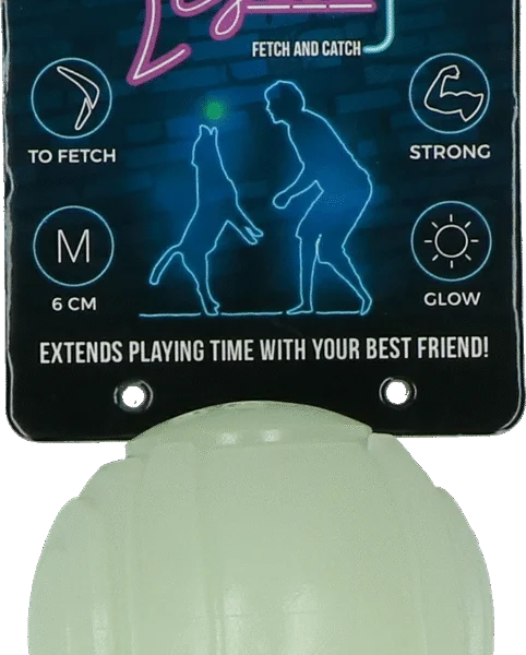 Svítící hračka pro psy 2 Glow Fetch & Play