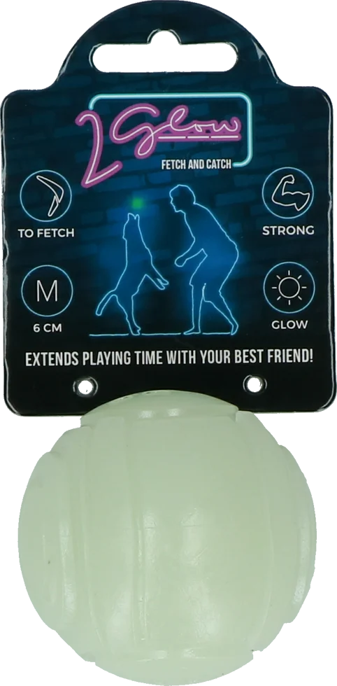 Svítící hračka pro psy 2 Glow Fetch & Play - Obrázek 1