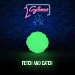 Svítící hračka pro psy 2 Glow Fetch & Play - Obrázek 2