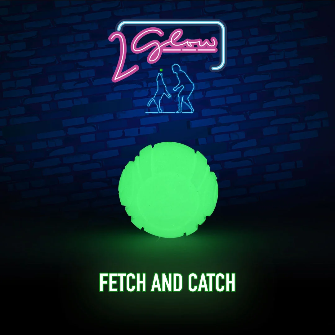 Svítící hračka pro psy 2 Glow Fetch & Play - Obrázek 2
