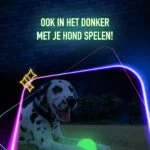 Svítící hračka pro psy 2 Glow Fetch & Play - Obrázek 4