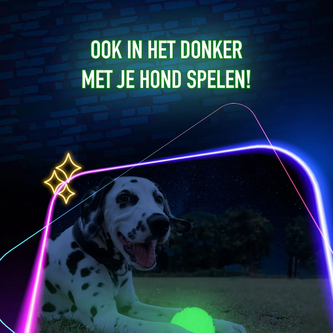Svítící hračka pro psy 2 Glow Fetch & Play - Obrázek 4
