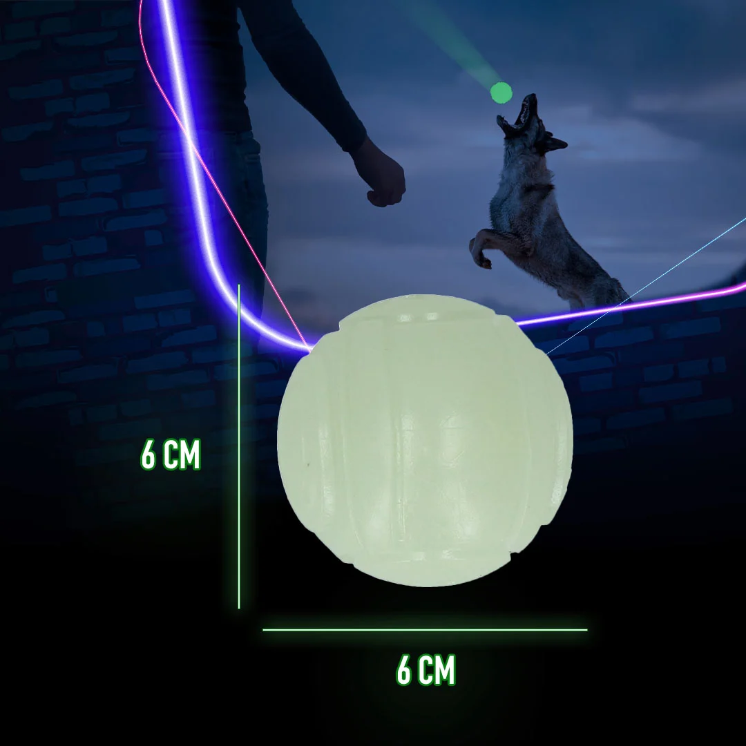 Svítící hračka pro psy 2 Glow Fetch & Play - Obrázek 6