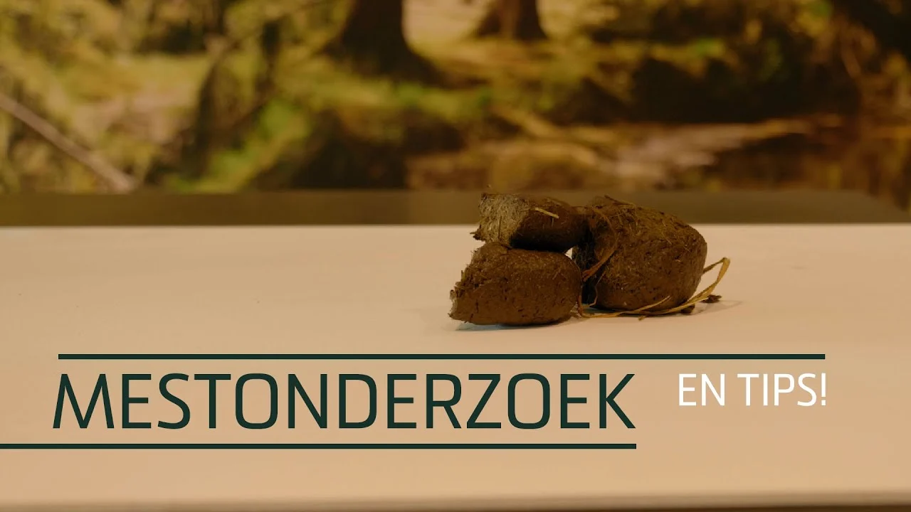 Jitrocelová semena pro koně s psylliem, 1,2 kg – Excellent Horse Herbs Vlozaad - Obrázek 2