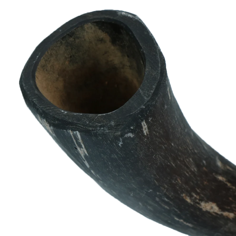 Hovězí žvýkací roh pro psy s hmotností 1 t/m 4 kg – Viking Horn Whole S - Obrázek 3