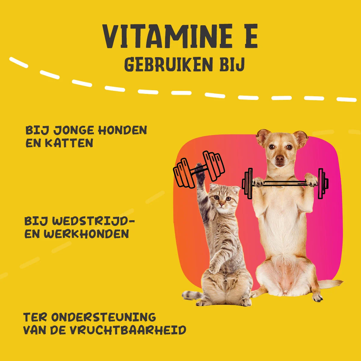 Doplňkový prášek pro psy a kočky s vitaminem E a selenem, 250 g – Excellent Pets Vitamin E+ - Obrázek 6