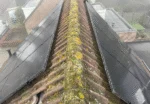 Hroty proti ptákům pro solární panely, 50 cm, černé - Obrázek 2