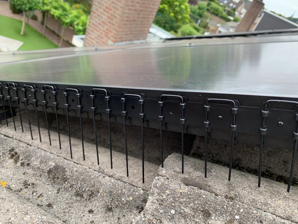 Hroty proti ptákům pro solární panely, 50 cm, průhledné - Obrázek 4