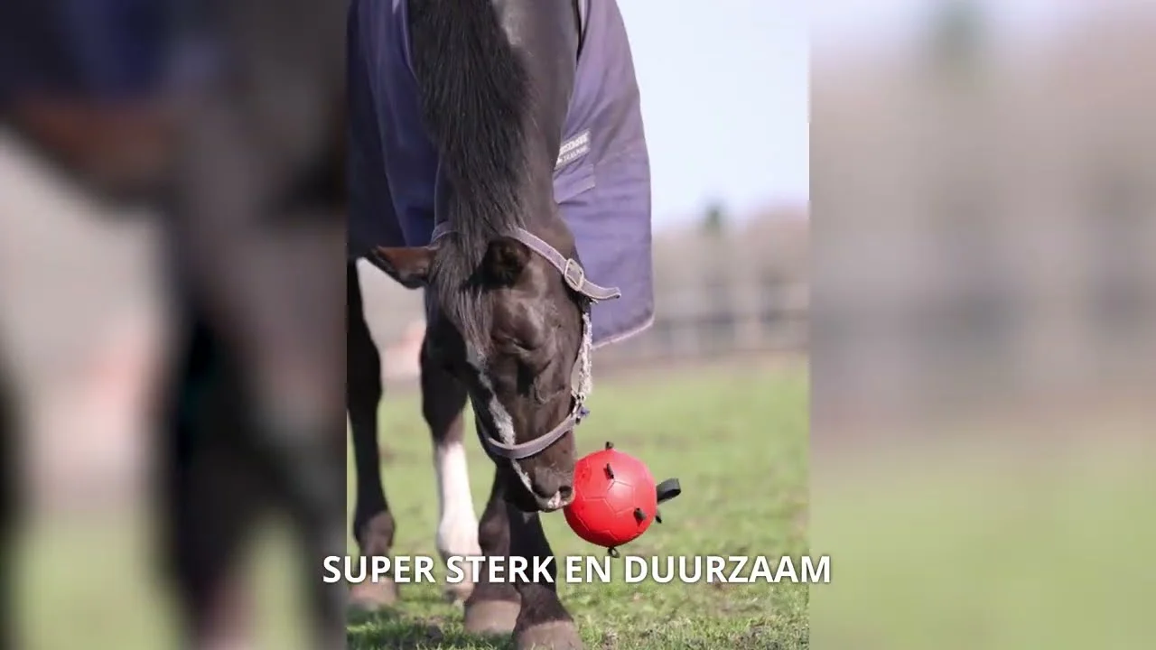 Hrací míč pro koně s elastickými pásky, 19 cm, žlutý – Excellent Horse Fun Play Ball - Obrázek 3