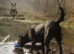 Plyšová hračka pro psy s lanem a pískátkem – Wild Life Collection Wild Life Dog Eend - Obrázek 5
