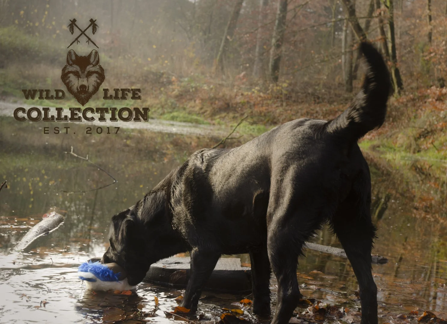 Plyšová hračka pro psy s lanem a pískátkem – Wild Life Collection Wild Life Dog Eend - Obrázek 5