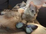 Hračka motýlek pro kočky se šantou kočičí – Wild Life Collection Cat modrý motýl - Obrázek 3