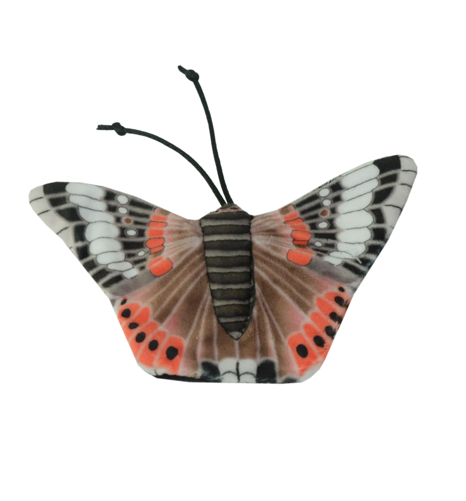 Hračka motýl pro kočky se šantou kočičí – Wild Life Collection Cat babočka admirál - Obrázek 2
