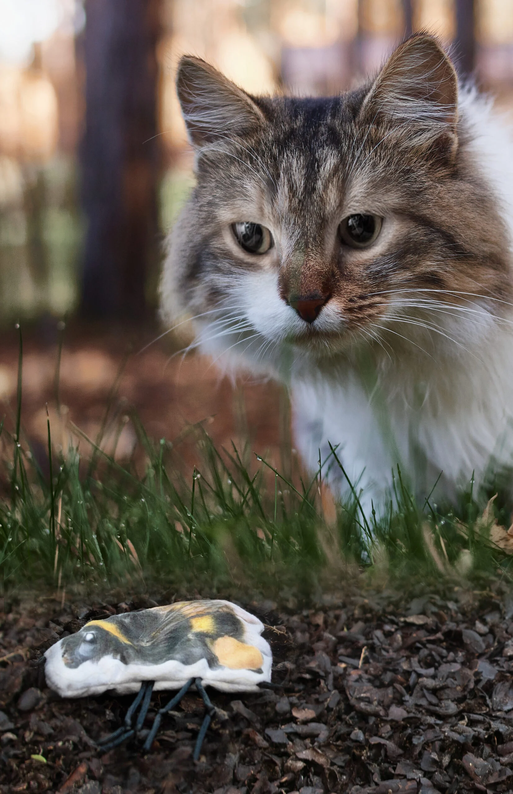 Kočičí hračka ve tvaru čmeláka se šantou kočičí – Wild Life Collection Cat Čmelák - Obrázek 3