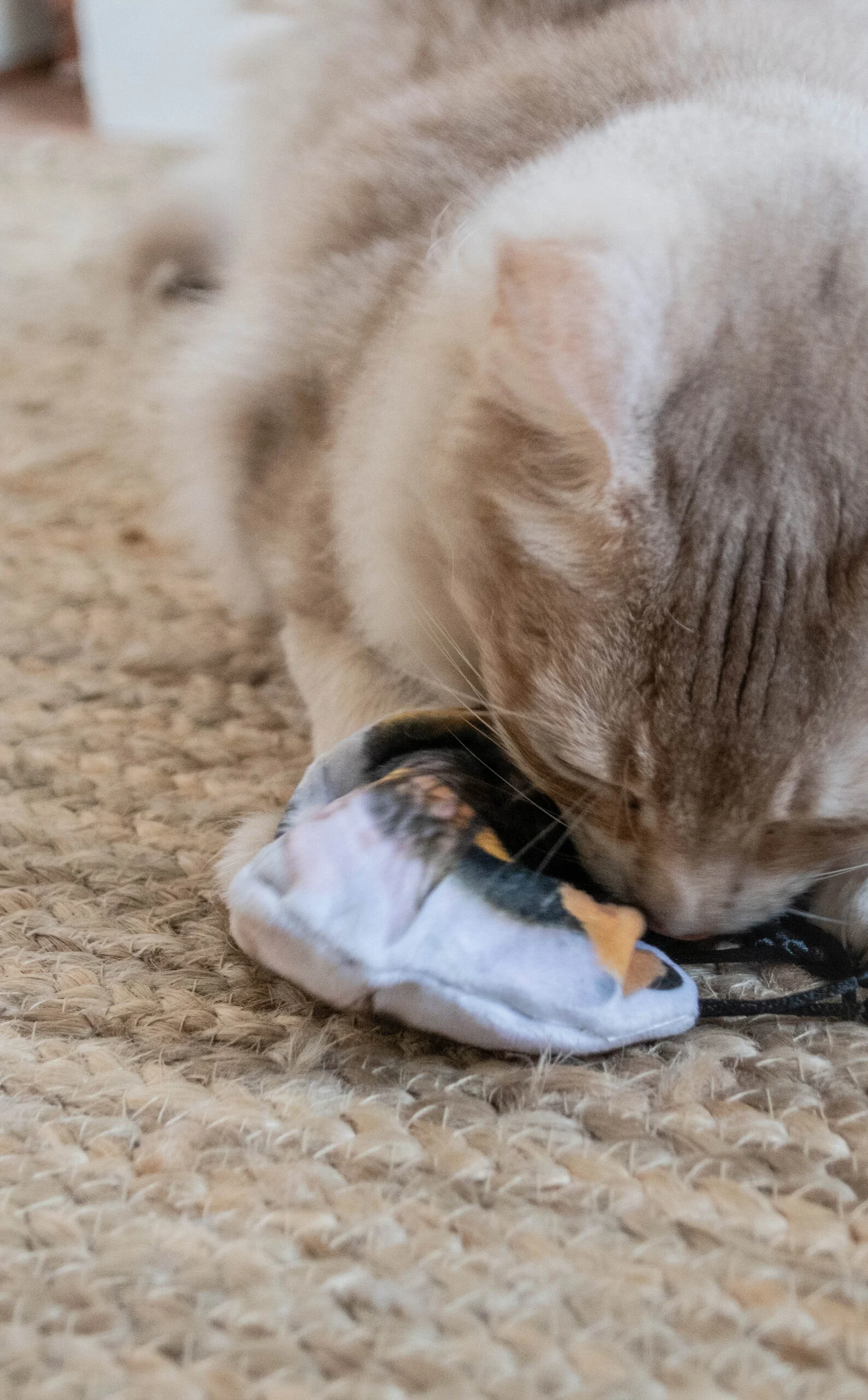 Kočičí hračka ve tvaru čmeláka se šantou kočičí – Wild Life Collection Cat Čmelák - Obrázek 4