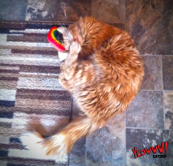 Duhová hračka pro kočky se šantou kočičí, 17,7 cm – Yeowww! Rainbow - Obrázek 2