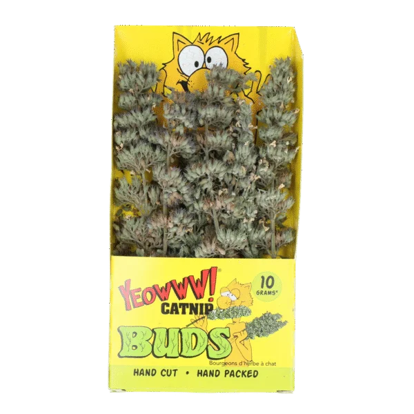 Větvičky šanty kočičí 10 g v uzavíratelném sáčku – Yeowww! Catnip Buds