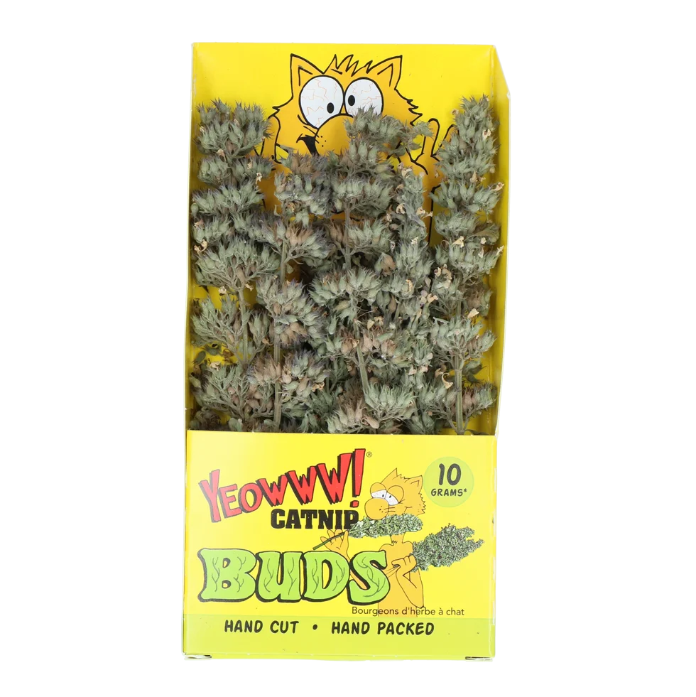 Větvičky šanty kočičí 10 g v uzavíratelném sáčku – Yeowww! Catnip Buds - Obrázek 1