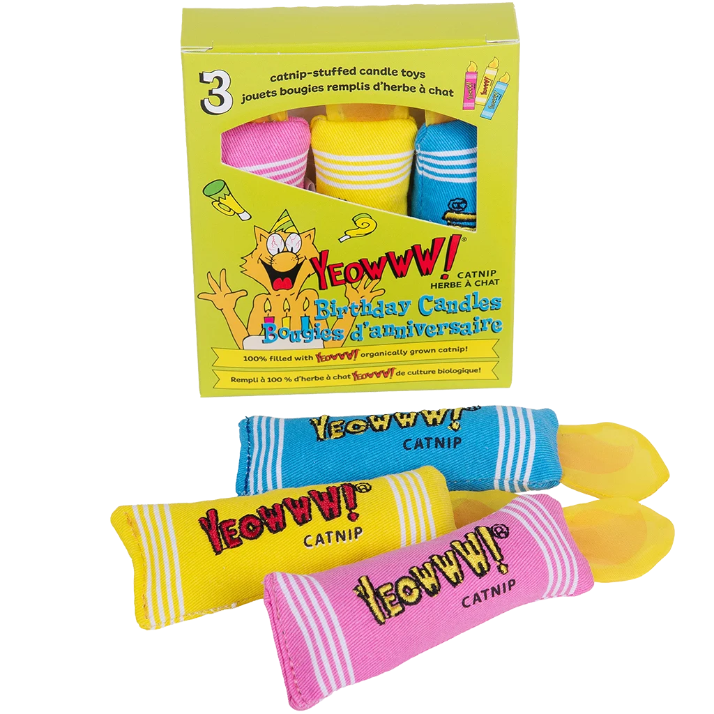 Kočičí hračky narozeninové svíčky s šantou kočičí, 3 ks – Yeowww! Birthday Candles - Obrázek 1