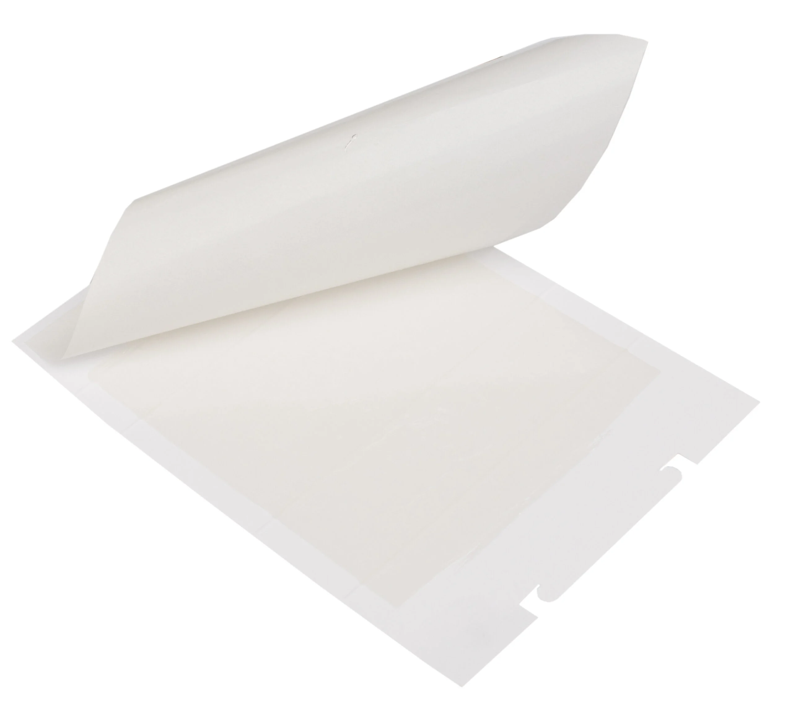 Lepová past na myši a lezoucí hmyz, 15 x 21 cm, 3 kusy – Zapi Zap Trap - Obrázek 2