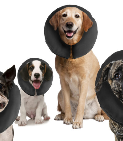 Ochranný límec pro psy XL, pratelný, 40,6 až 55,9 cm – Zenpet ProCollar
