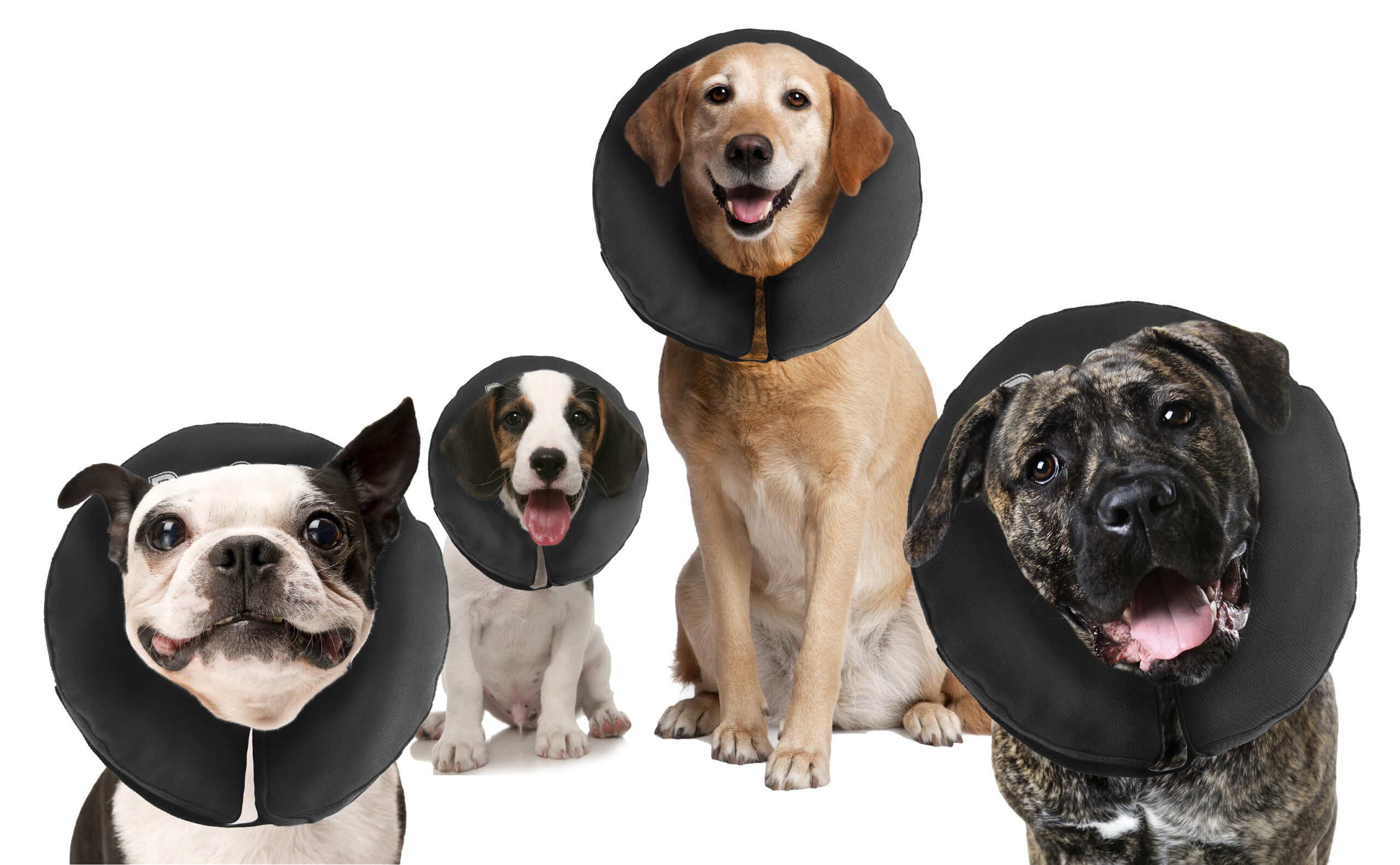 Beschermkraag voor Honden XL, Wasbaar, 40,6 tot 55,9 cm – Zenpet ProCollar Ochranný límec pro psy XL, pratelný, 40,6 až 55,9 cm – Zenpet ProCollar