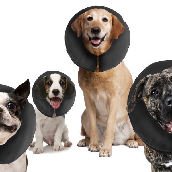 Ochranný límec pro psy M, pratelný, 22,9 až 33 cm – Zenpet ProCollar