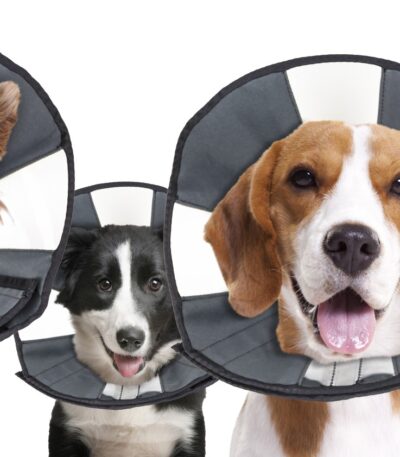 Pratelný ochranný límec, 20,3 až 30,5 cm – Zenpet Procone S