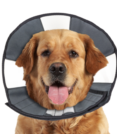 Pratelný ochranný límec, 45,7 až 58,4 cm – Zenpet ProCone XL