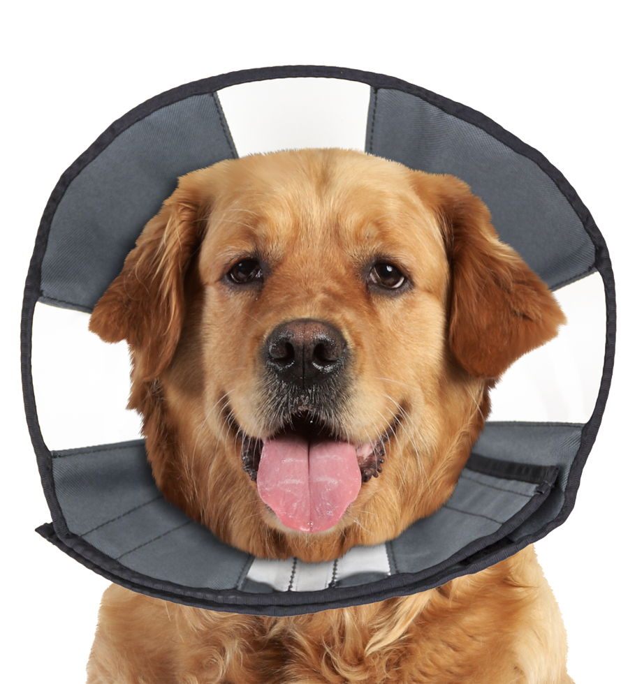 Beschermkraag Wasbaar, 45,7 tot 58,4 cm – Zenpet Procone XL Pratelný ochranný límec, 45,7 až 58,4 cm – Zenpet ProCone XL