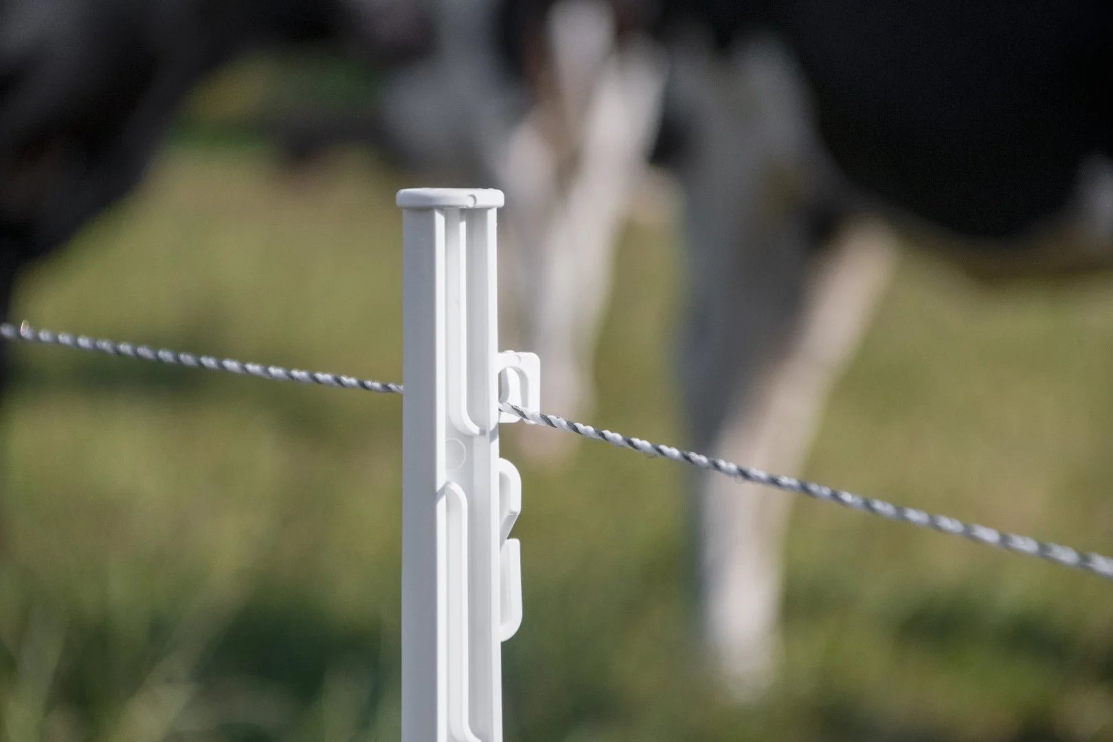 Elektrický ohradníkový vodič 3 mm, bílý s tmavě zelenou, 400 m – ZoneGuard Plus - Obrázek 5
