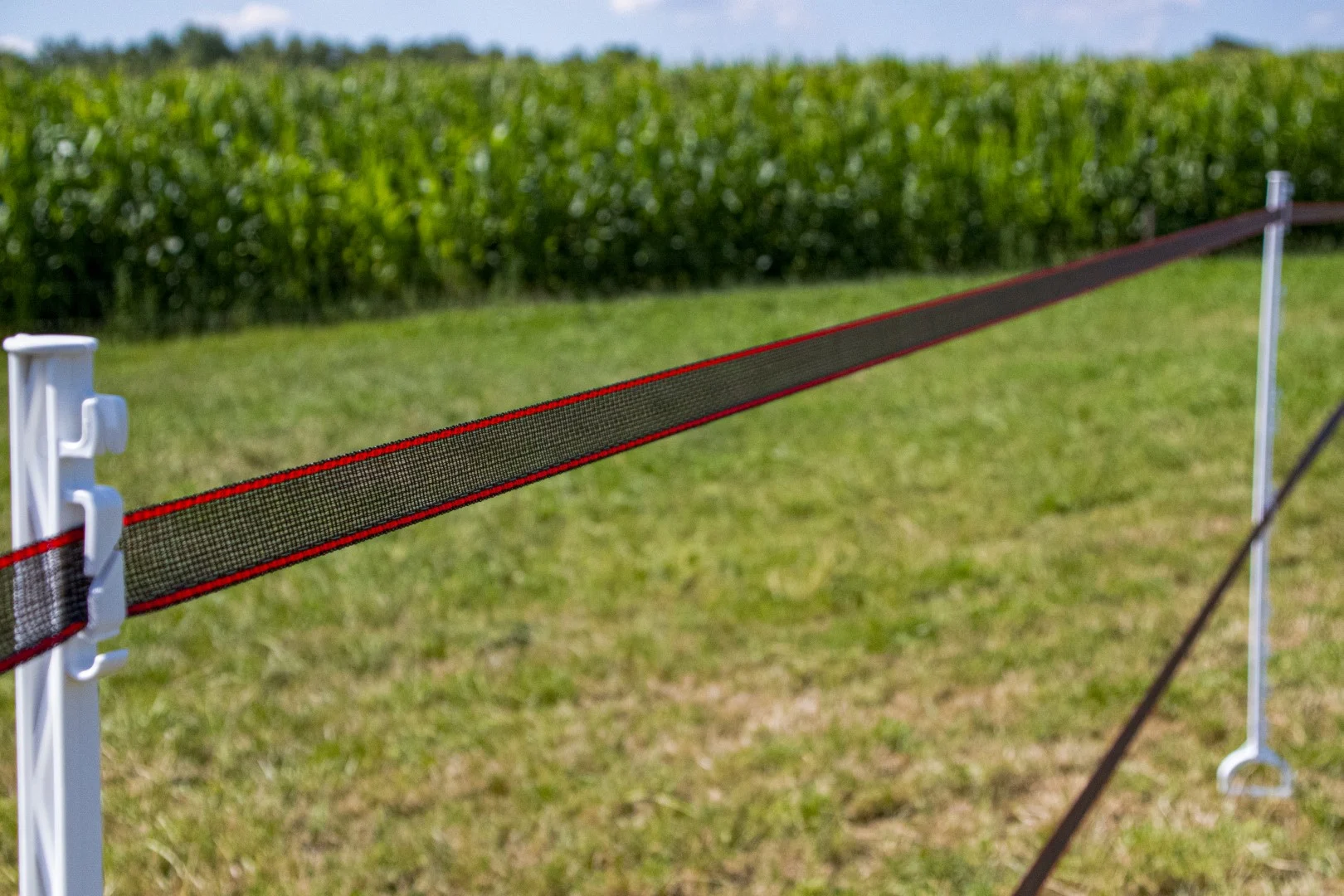 Elektrická ohradníková páska 40 mm, hnědá, se zesílenými okraji, 200 m – ZoneGuard Plus - Obrázek 3