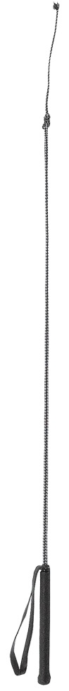 Jezdecký bičík ze sklolaminátu s úchopem, 90 cm, černý - Obrázek 1