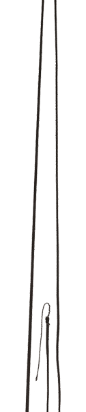 Lonžovací bič z laminátu 180 cm, celková délka 410 cm