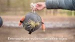 Koňský míček ze semiše s elastickými poutky, růžový – Excellent Horse Fun Play Ball - Obrázek 4